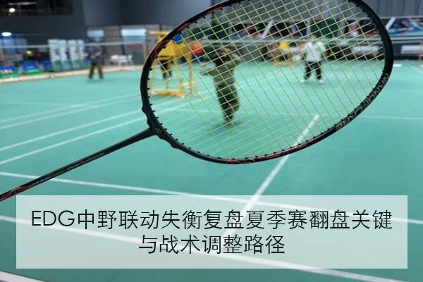 EDG中野联动失衡复盘夏季赛翻盘关键与战术调整路径
